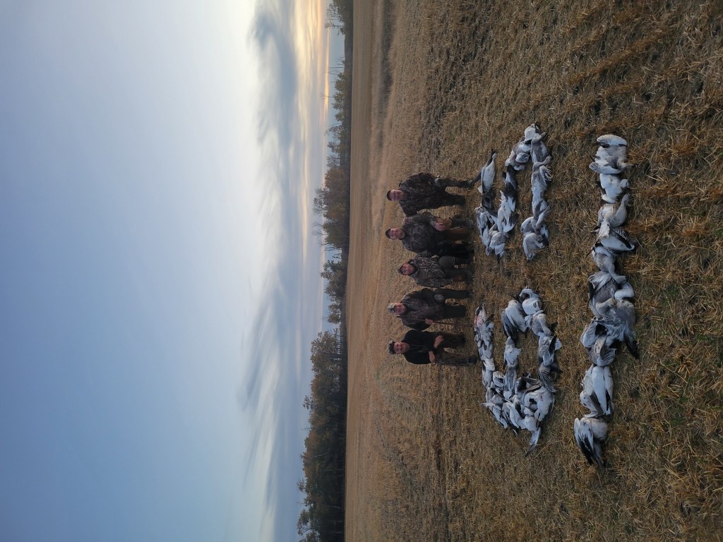 Waterfowl Limits in Saskatchewan