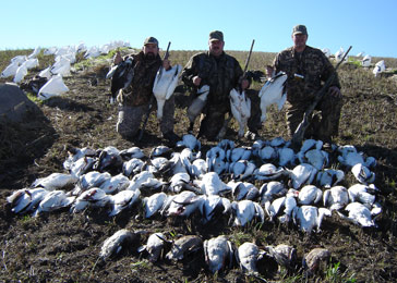 Canada goose hunting