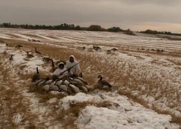 Saskatchewan Goose Hunt