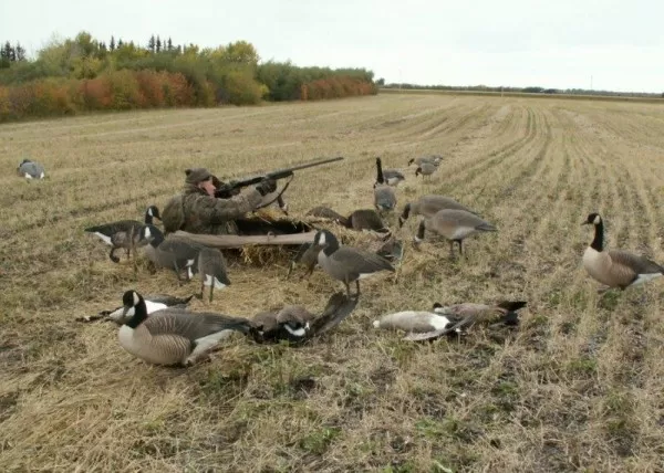 Layout Blind Hunt