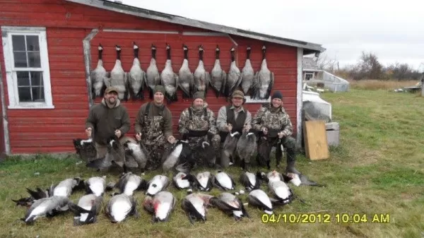 Saskatchewan Honkers