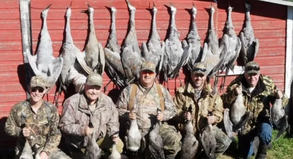 Sand-Hill Crane Hunt in Saskatchewan