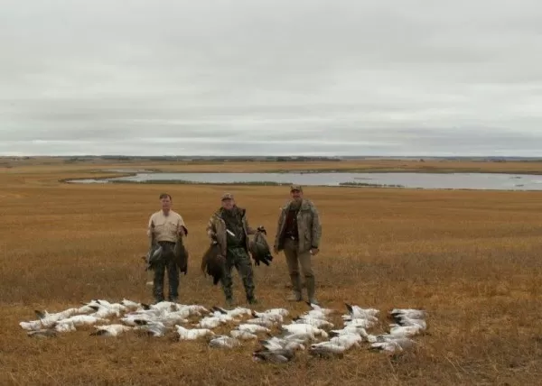 Snow Goose Roost in the background
