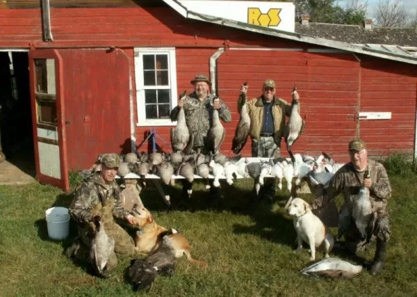 Mixed Harvest of Geese and Ducks in Saskatchewan