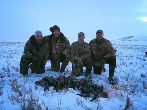 Had a great evening duck and goose hunt in Saskatchewan.