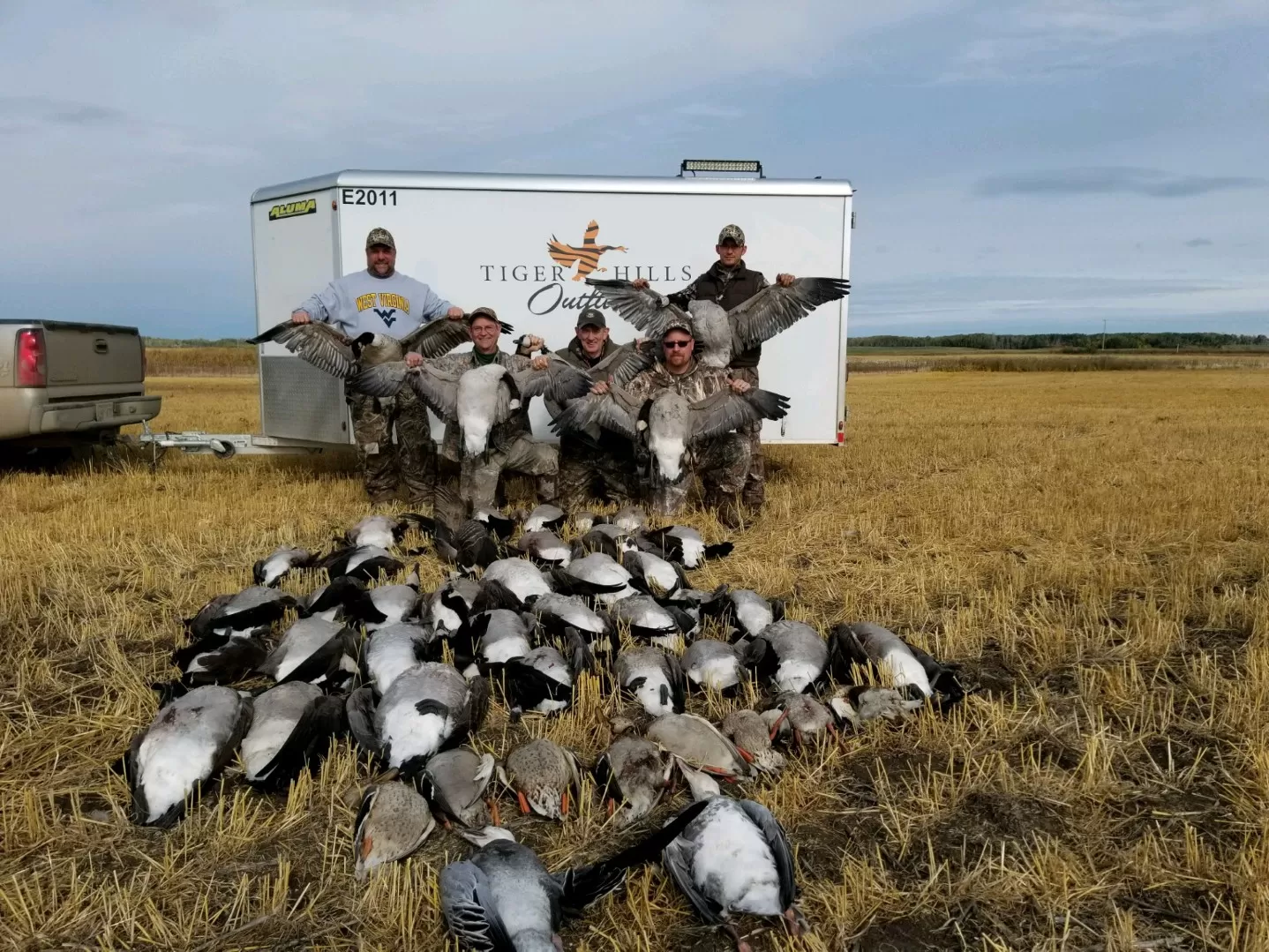 Canada Goose Hunting