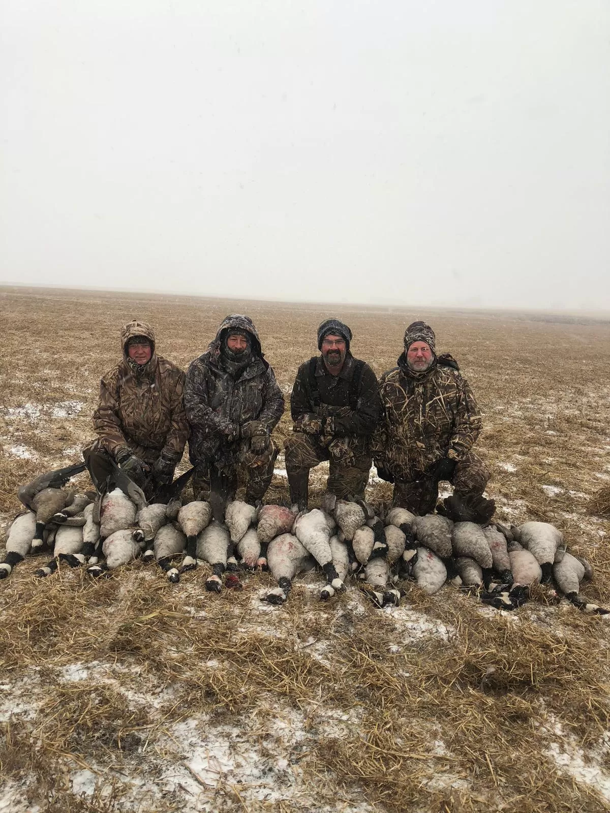 Saskatchewan Waterfowl