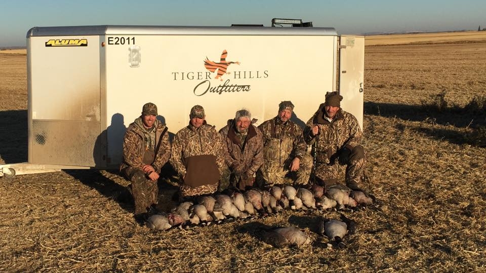 Canada Goose Hunting