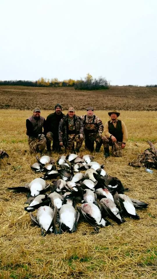 Saskatchewan Goose Hunting