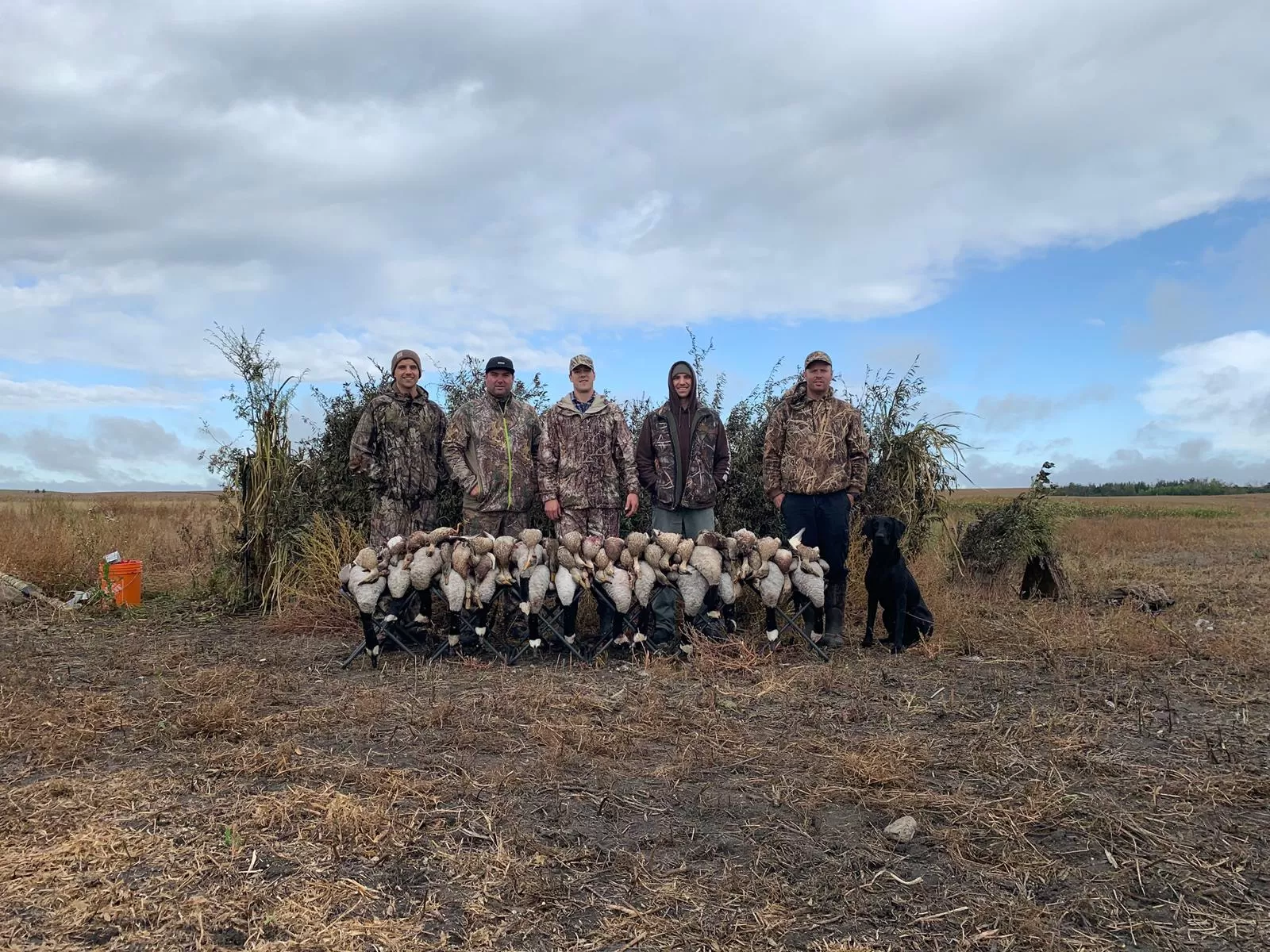 Canada Goose Hunting