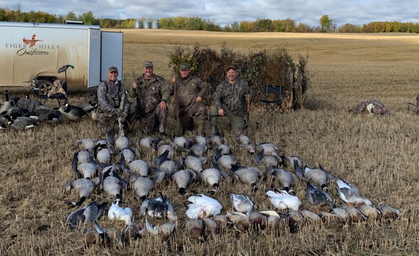 Canada Goose Hunting in Saskatchewan